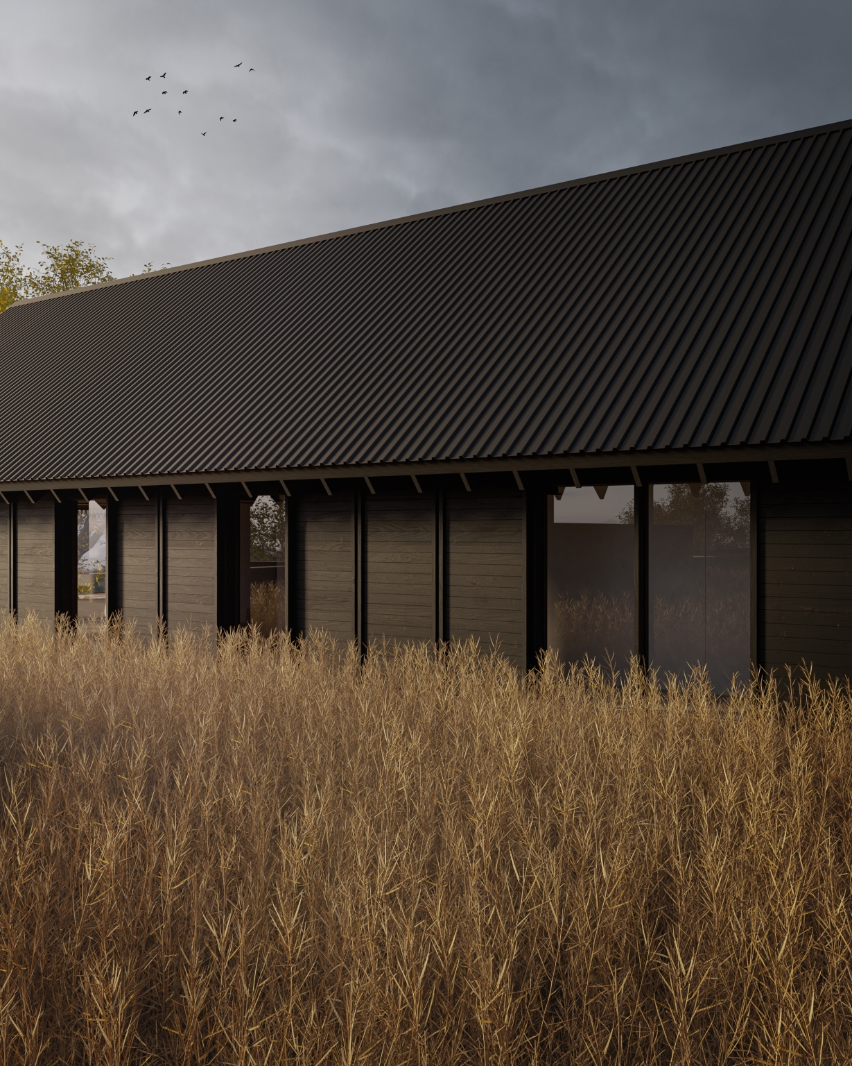 Burnside_External_01