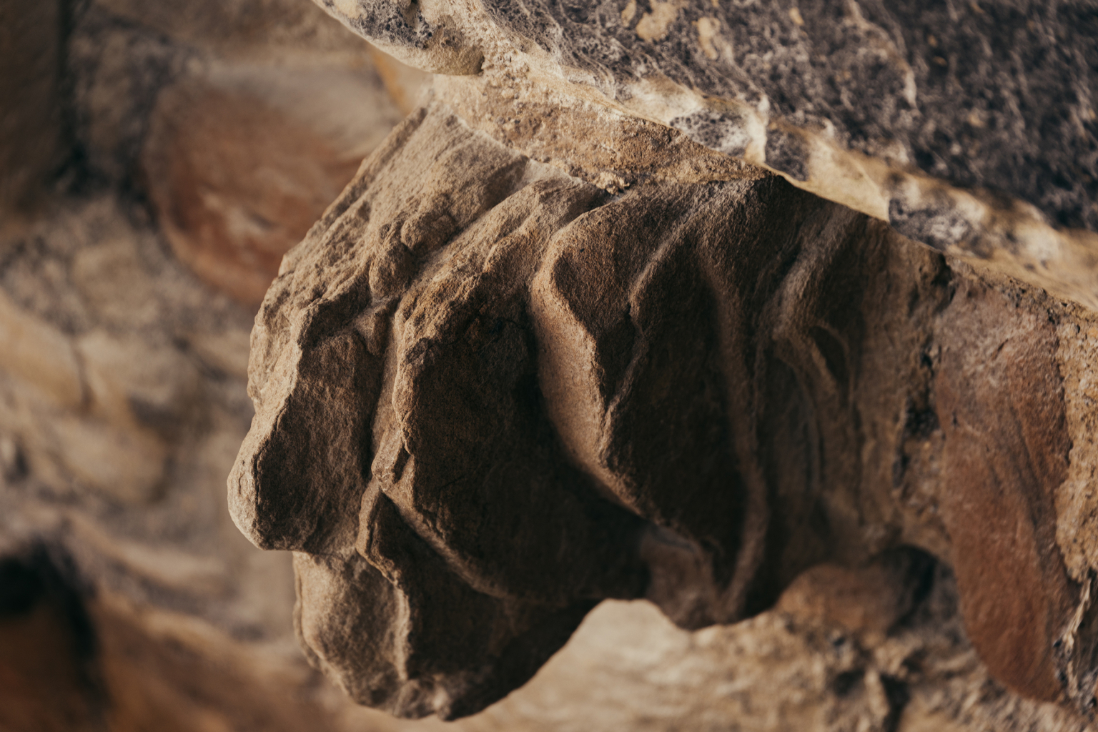 GRAS_1800_Preston Tower_7